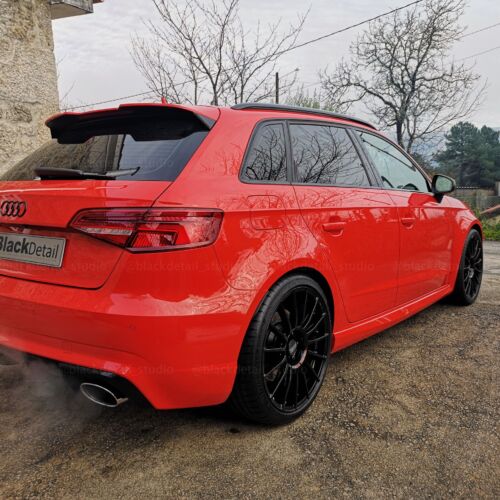 AUDI RS 314