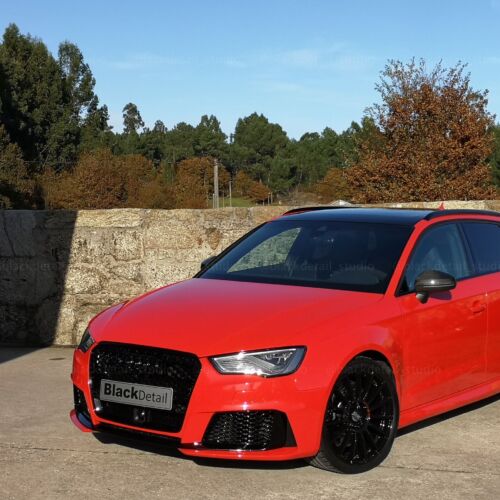 AUDI RS 317