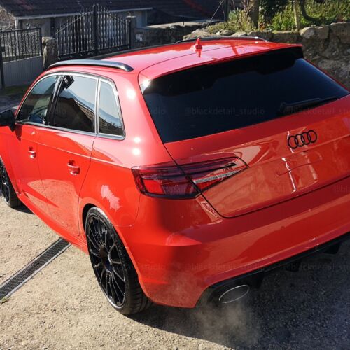 AUDI RS 319